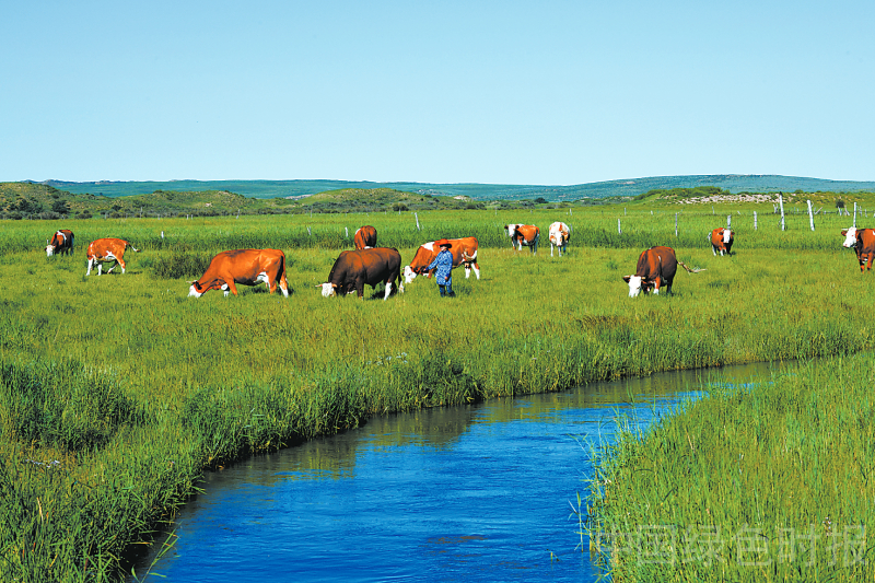 1753512041520355.jpg 1753512041520355.jpg