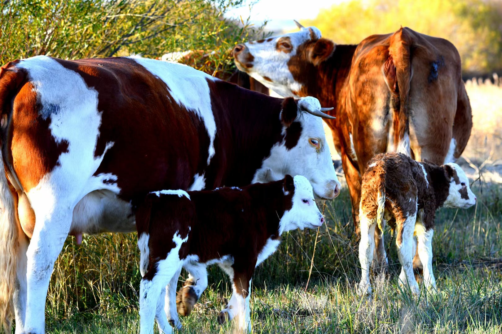 1753512104449951.jpg 1753512104449951.jpg