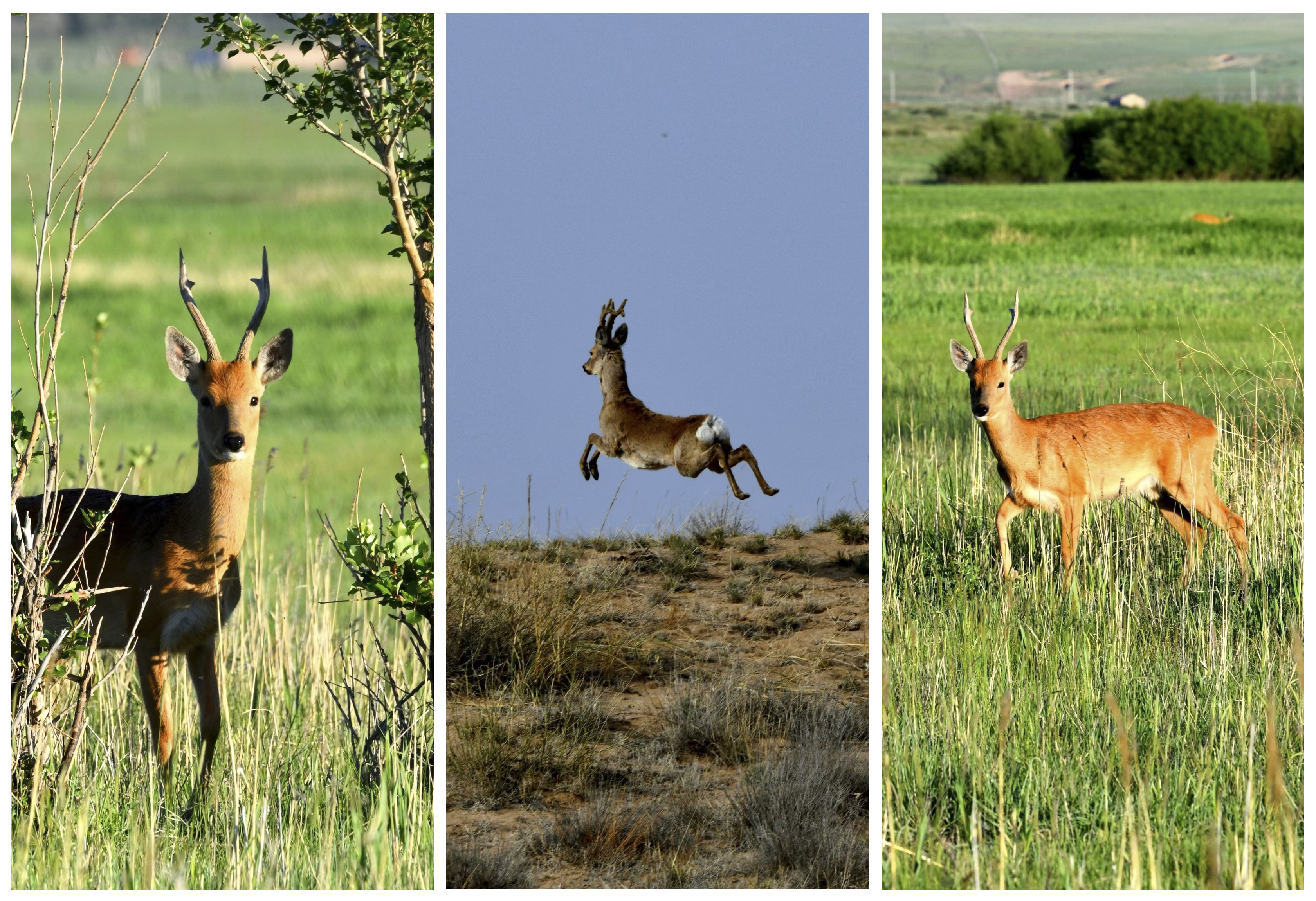 1753512231860107.jpg 1753512231860107.jpg